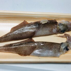 やりいかと大根の煮物 レシピ 作り方 By 善ちゃん 楽天レシピ やりいかと大根の煮物 レシピ 作り方 By 善ちゃん 楽天レシピ